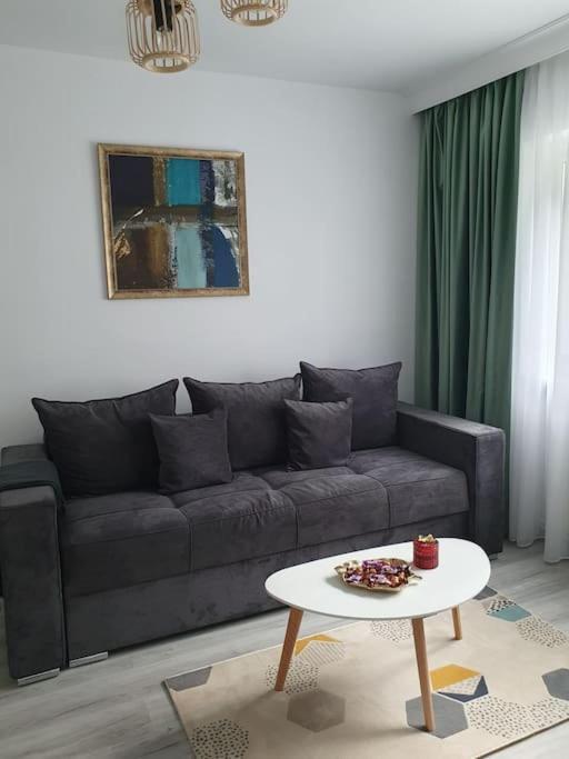 Apartament Ama Sibiu Exterior photo